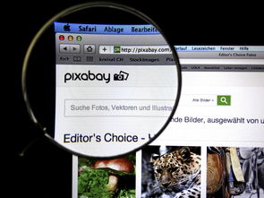 od体育平台-体育新闻中心发布体育短视频传播效果白皮书，体育短视频成为平台和用户的新宠